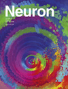 NEURON
