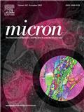 MICRON