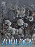 ZOOLOGY
