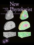 NEW PHYTOLOGIST